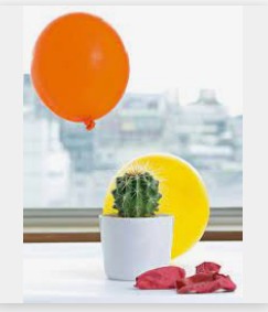 蓝冠注册会员,蓝冠招聘