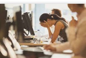 蓝冠官方登录,人才招聘