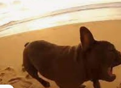 蓝冠官网,蓝冠代理薪水怎么样？