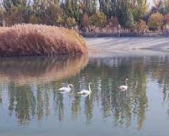 蓝冠注册开户流程,蓝冠平台怎么样？