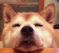 蓝冠注册开户流程,蓝冠平台怎么样？