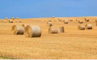 蓝冠官方登录,人才招聘