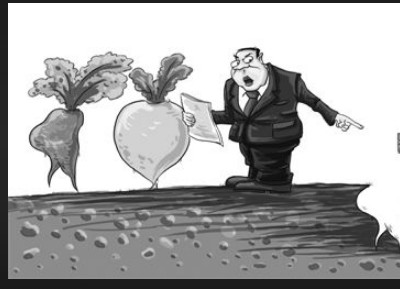 蓝冠平台代理,蓝冠平台网站