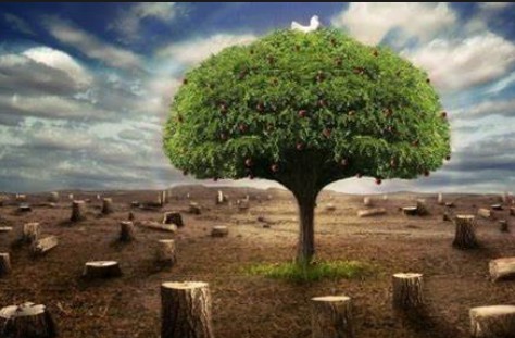 蓝冠代理职场模拟,蓝冠液态职场