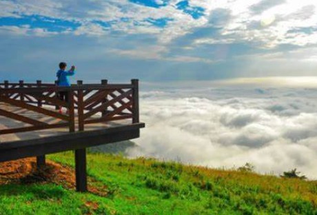 蓝冠代理职场模拟,蓝冠液态职场