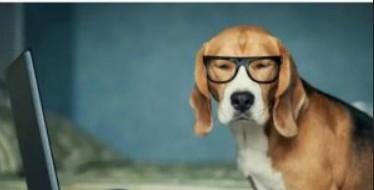 蓝冠做什么的,蓝冠代理薪水怎么样?