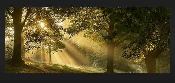 蓝冠招聘,蓝冠代理