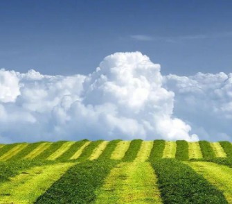 蓝冠注册会员,蓝冠招聘