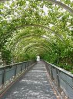 蓝冠代理主管,蓝冠注册数据